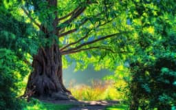Construct a binary tree from its in-order and pre-order traversals